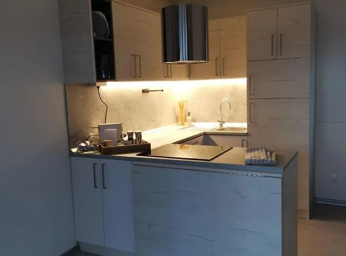 Hollers Homes Haus Max Chalet
