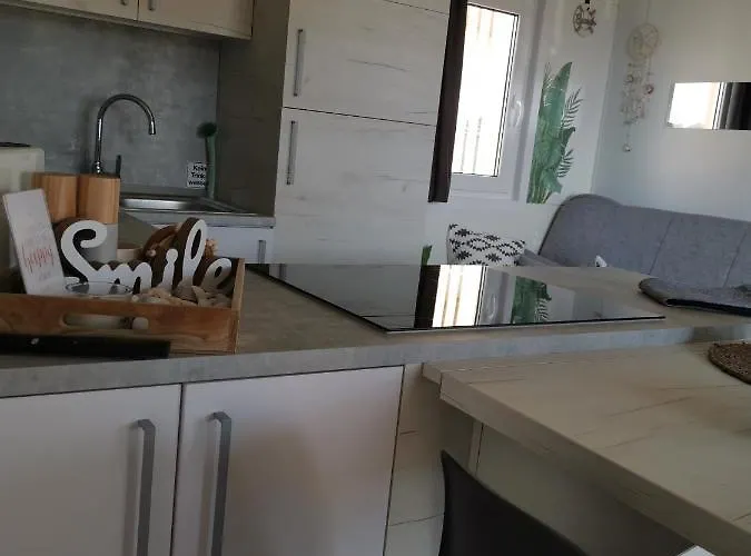 Hollers Homes Haus Max