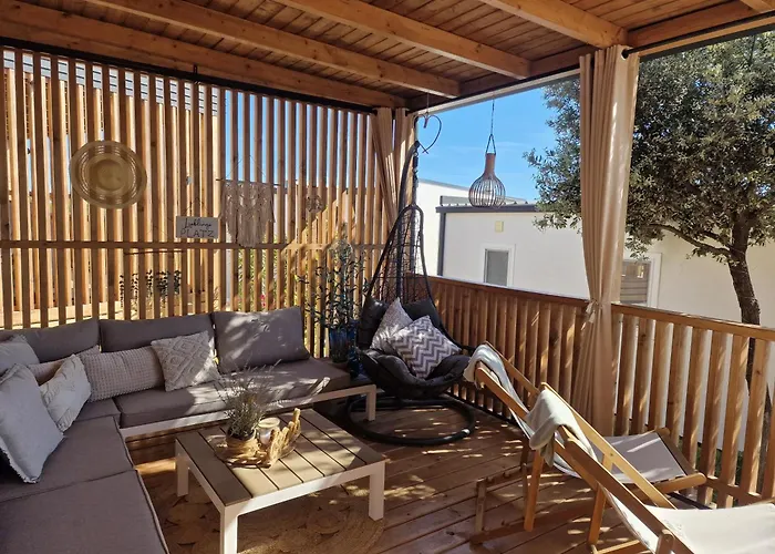 Hollers Homes Haus Max Drage
