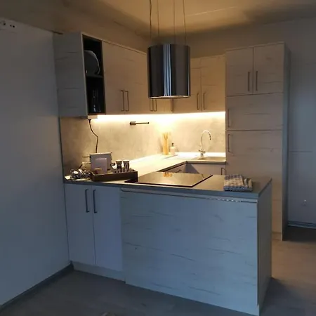 Hollers Homes Haus Max Chalet