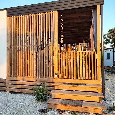Hollers Homes Haus Max Drage