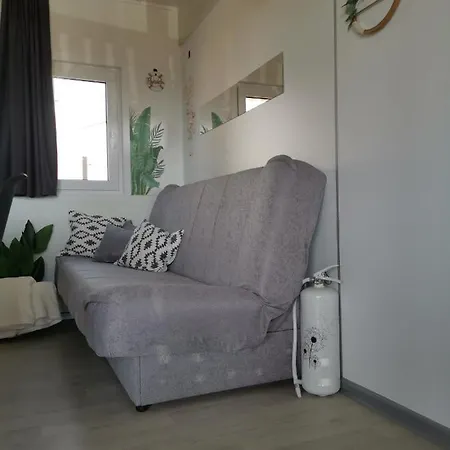 Hollers Homes Haus Max Drage