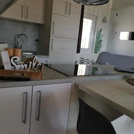 Hollers Homes Haus Max