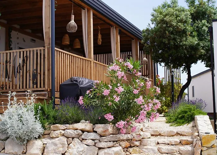 Hollers Homes Haus Max Brvnara